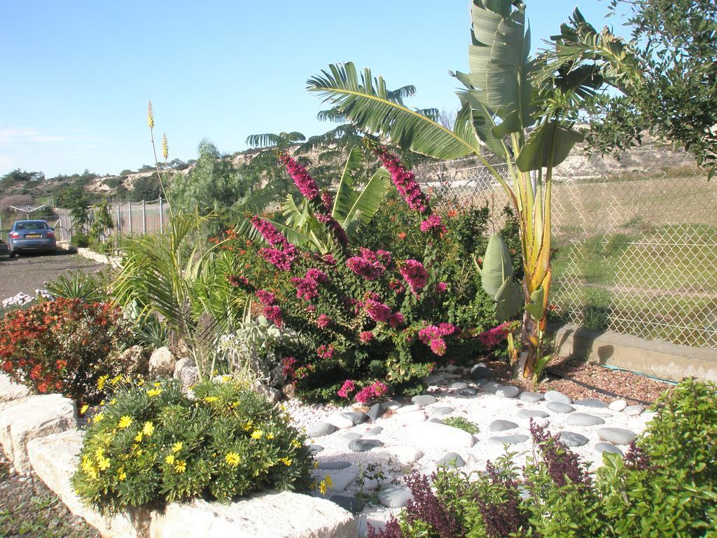 Paradise Traditional House Maroni Exterior photo