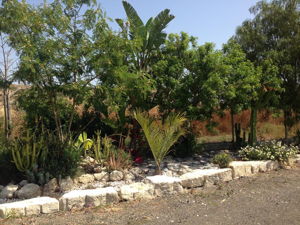 Paradise Traditional House Maroni Exterior photo
