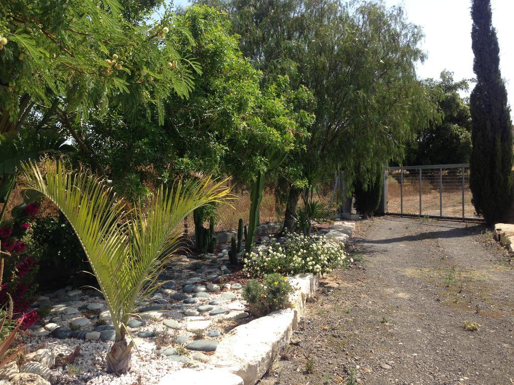 Paradise Traditional House Maroni Exterior photo